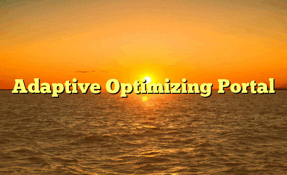 Adaptive Optimizing Portal