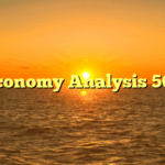 Economy Analysis 506