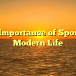 The Importance of Sports in Modern Life