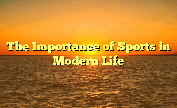 The Importance of Sports in Modern Life